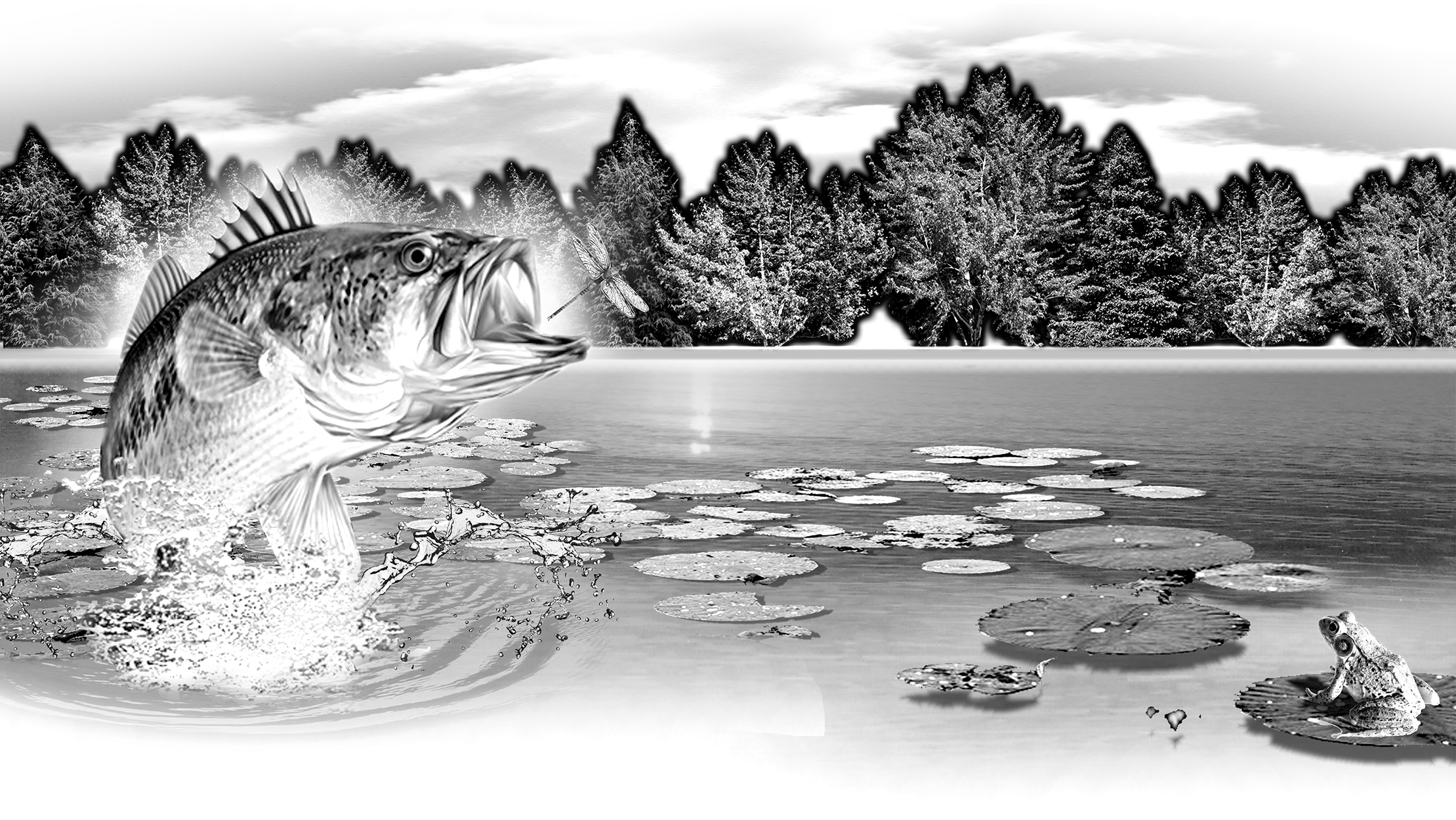 007SC-FISHING.png 007SC-FISHING - Image 1